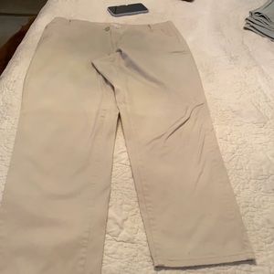 J. Jill size 14 stone live in chino